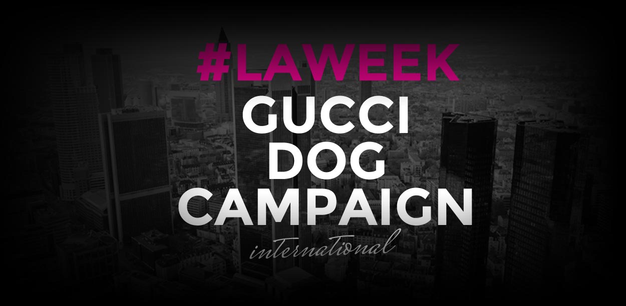 gucci-year-dog-campaign-corinne-foxx-for-dolce-gabanna-la-fashion-week-blog-moodel-agency-news