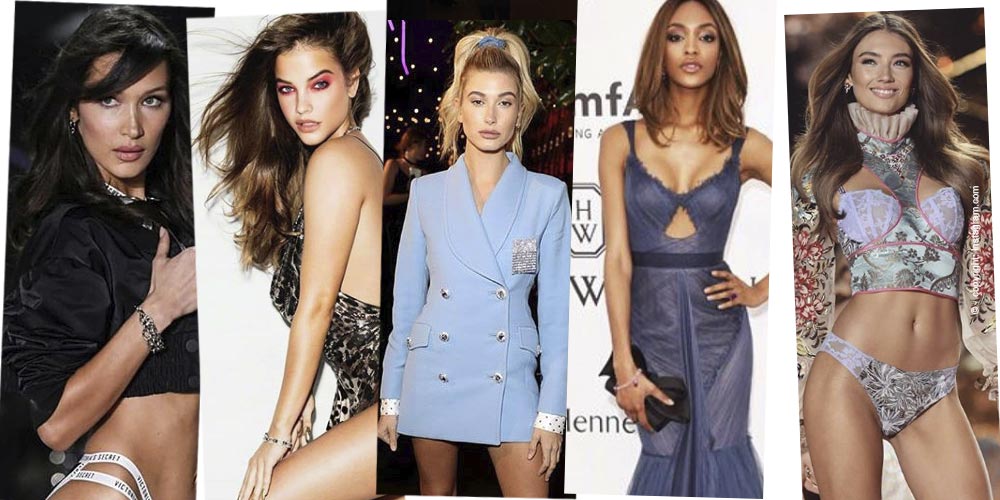 bellahadid-haileybaldwin-lorenarae-lilycole-barbarapalvin-jourdandunn-model-fashion-victoriassecret