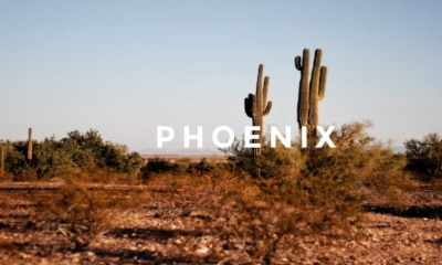 Phoenix Model Agency: The Best Agencies For Models