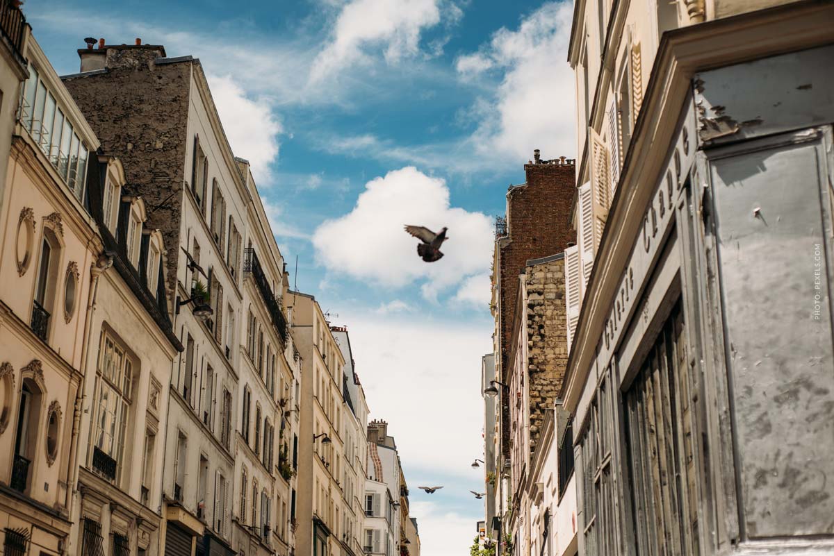 off-white-paris-fashion-week-pigeon-flying.between-buildings