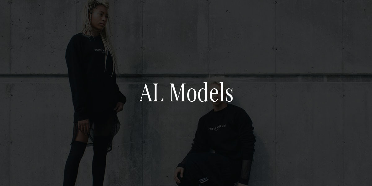 AL Models (1)