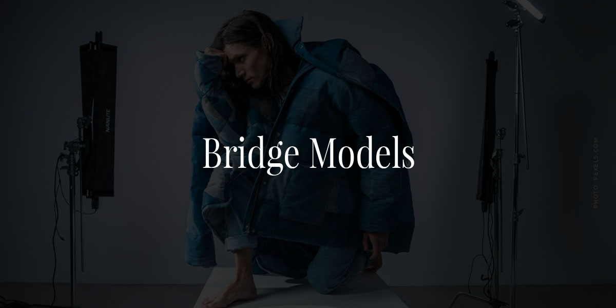 Bridge Models