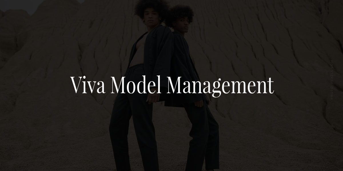 Viva Model Management